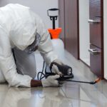 Why is Furniture Pest Control Important