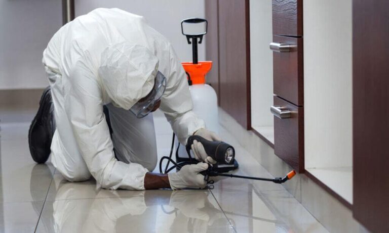 Why is Furniture Pest Control Important