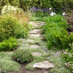 Garden Pathways That Transform Simple Yards Into Retreats