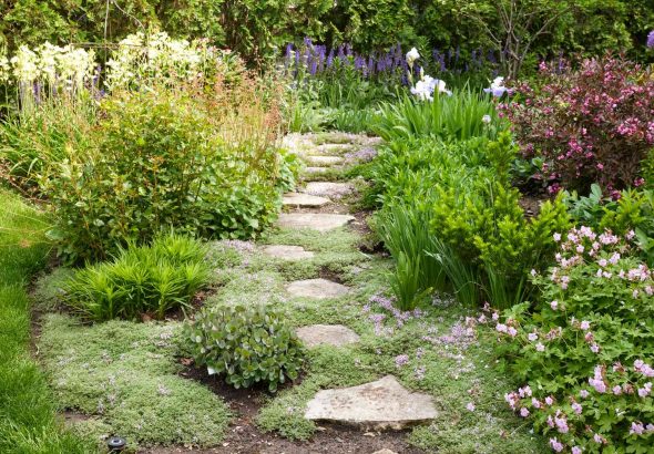 Garden Pathways That Transform Simple Yards Into Retreats
