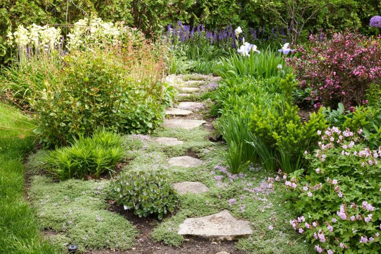 Garden Pathways That Transform Simple Yards Into Retreats